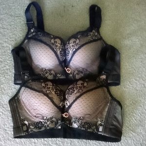 Fall Sweet bras
